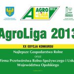 AgroLiga 2013